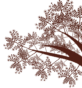 Pathshala Heritage Tree Illustration